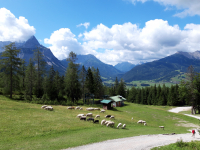 Sommer auf der Sonnenseite der Zugspitze